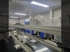 বিনামূল্যে নমুনা সহ উচ্চ মানের বিশুদ্ধ সানরাইজ সুগন্ধি তেল