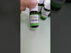 কেন ভেরসাচি ফ্লোরাল সুগন্ধি তেল ২৫০ মিলি শ্যাম্পু তৈরির জন্য বেছে নেবেন তা দেখুন