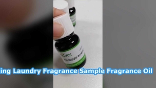 দীর্ঘস্থায়ী লন্ড্রি সুগন্ধি এসেন্স নমুনা