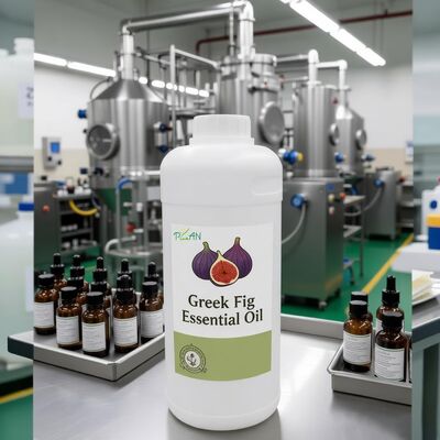 বিশুদ্ধ সুগন্ধি তেল গ্রীক ফাইগ এসেন্স দৈনিক ব্যবহারের জন্য পারফিউম তৈরি / বিনামূল্যে নমুনা সহ উত্পাদন
